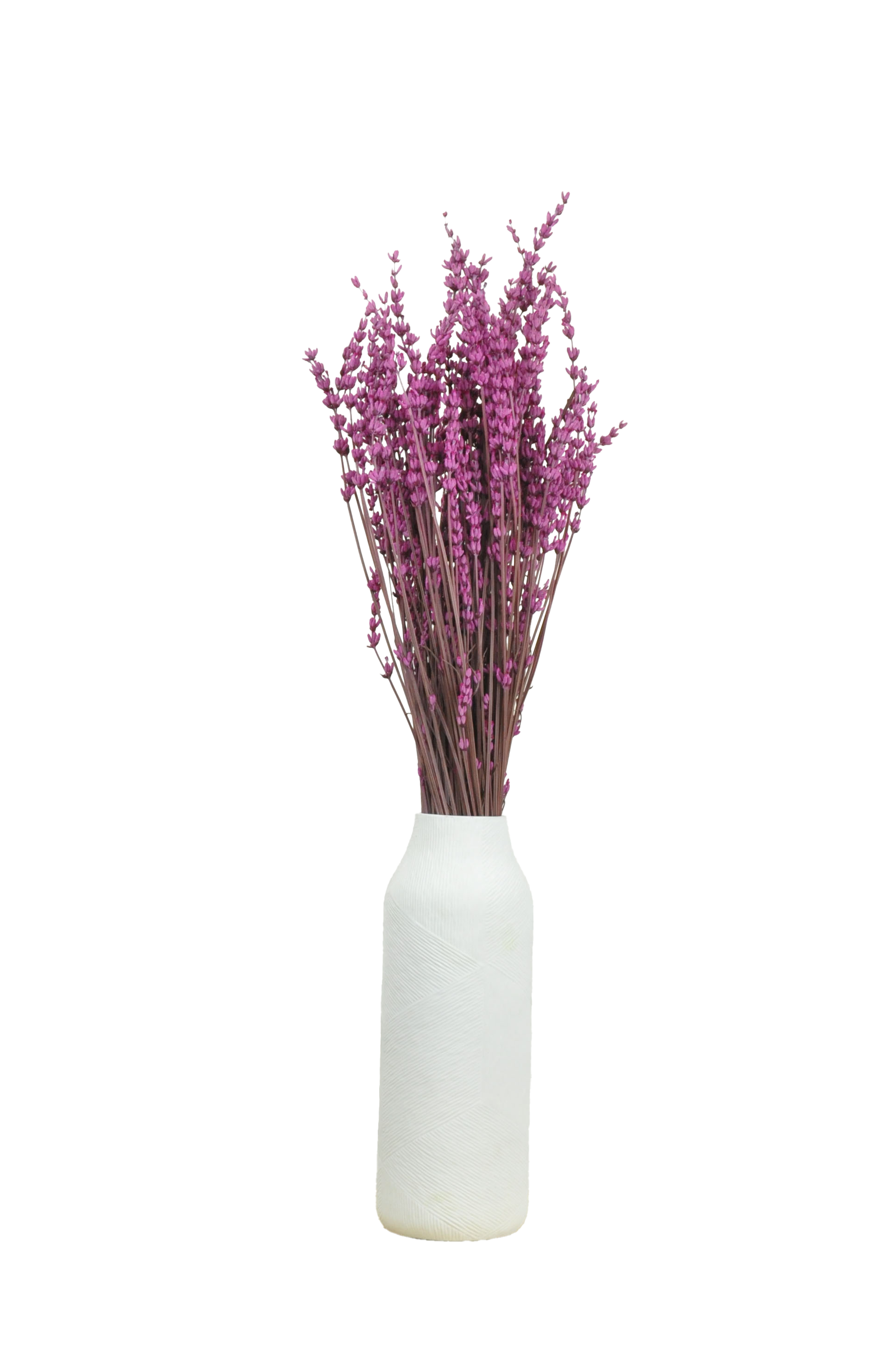 Fuchsia rose lavande stabilisé