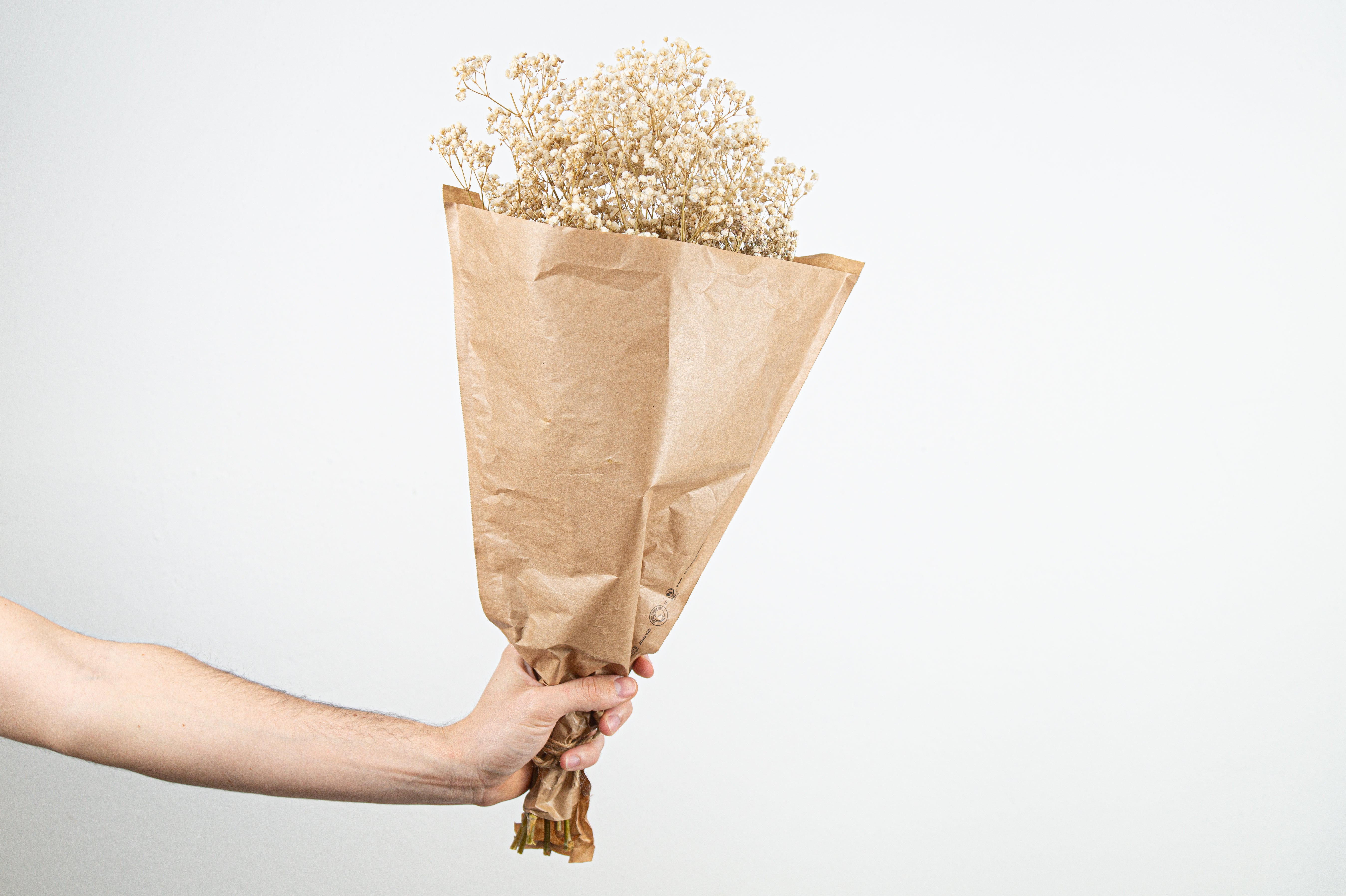 Paniculata blanca perservada