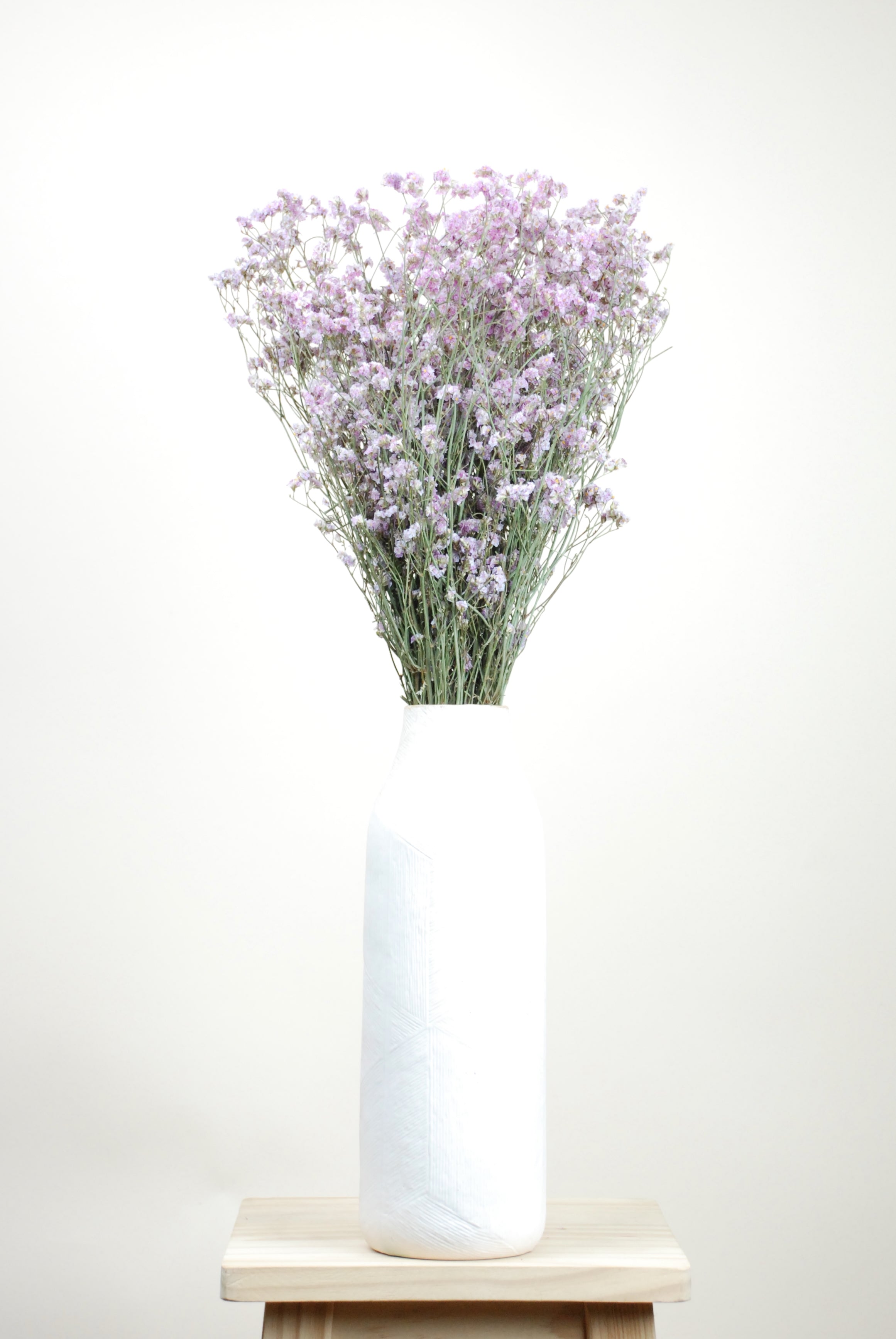 Limonium rosa