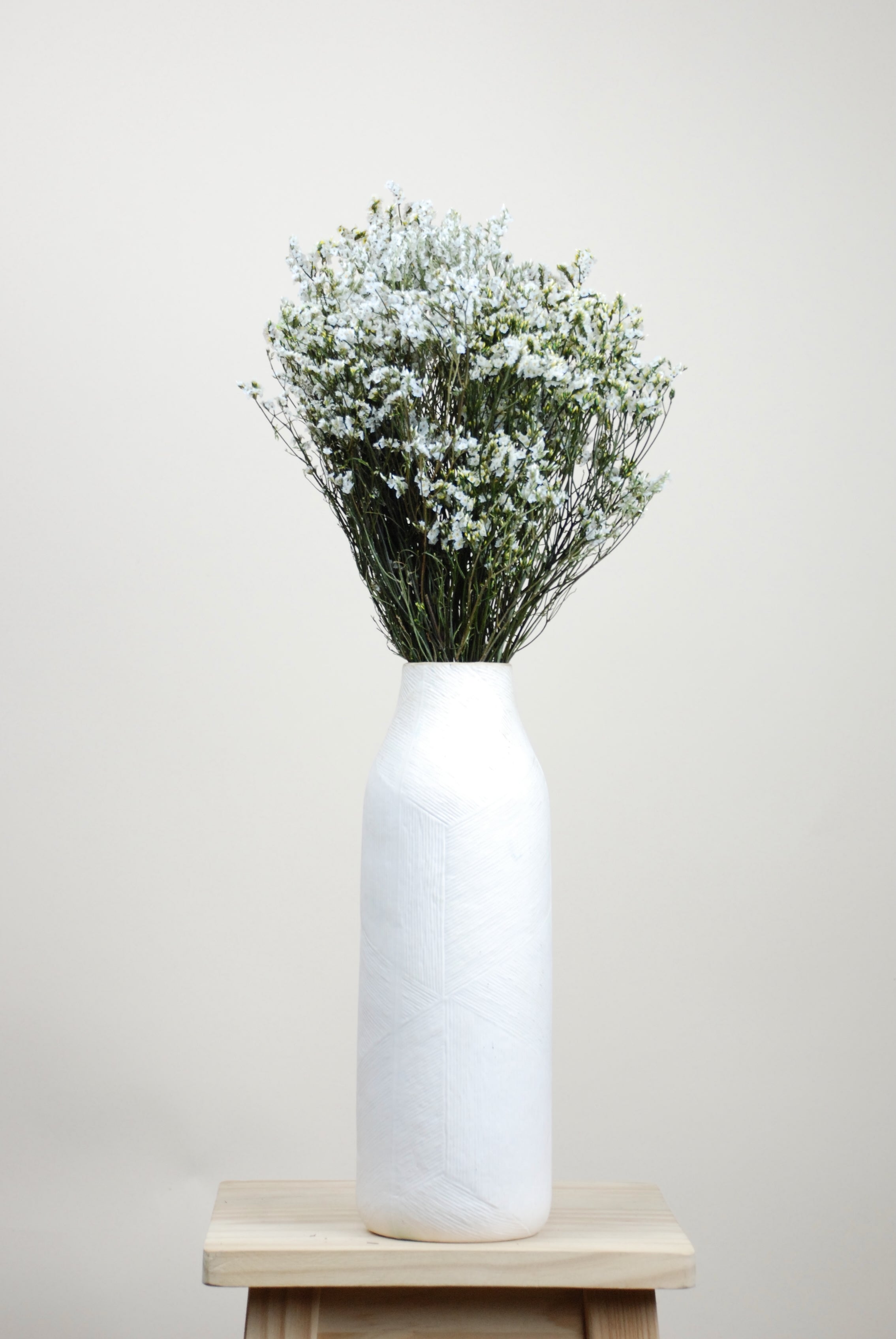 Limonium blanco