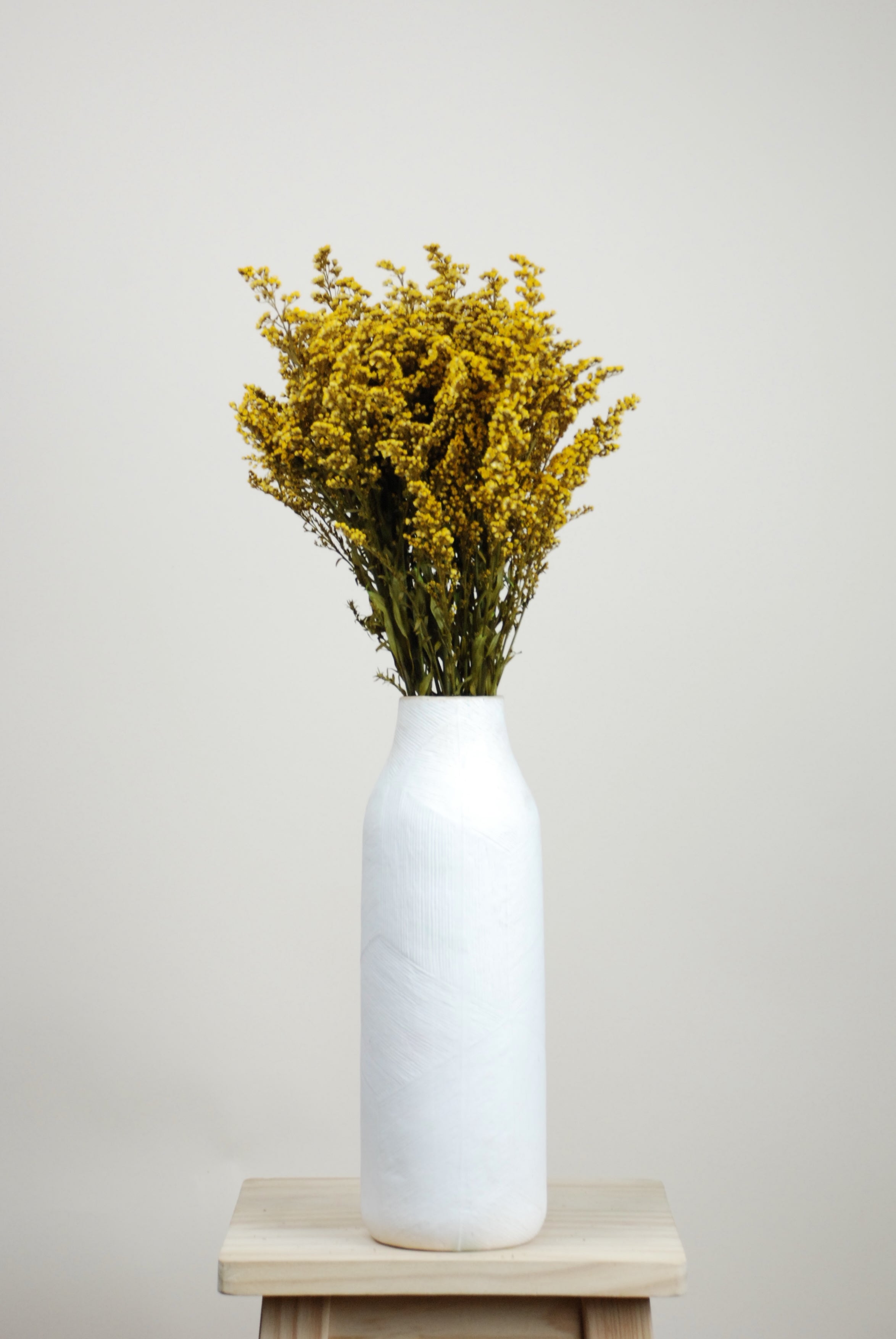 Solidago amarillo