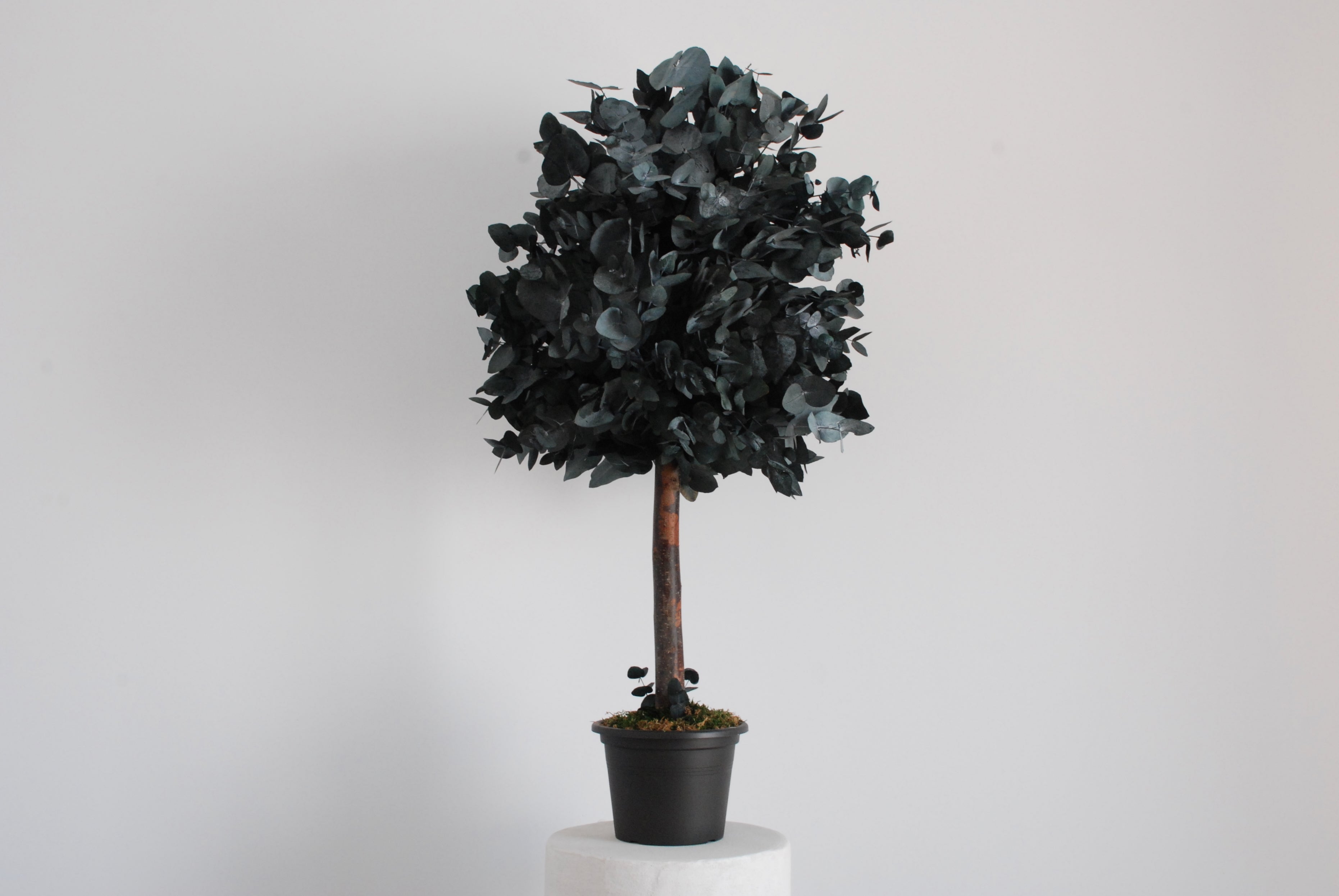 Árbol cinerea verde 100cm